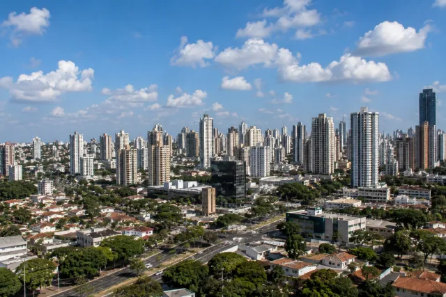 Leilões em Goiás